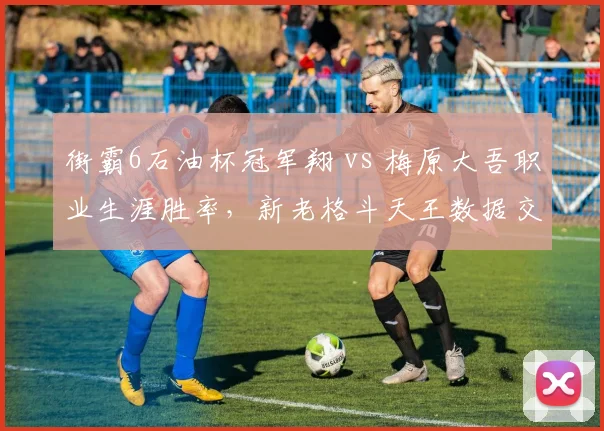 街霸6石油杯冠军翔 vs 梅原大吾职业生涯胜率，新老格斗天王数据交锋