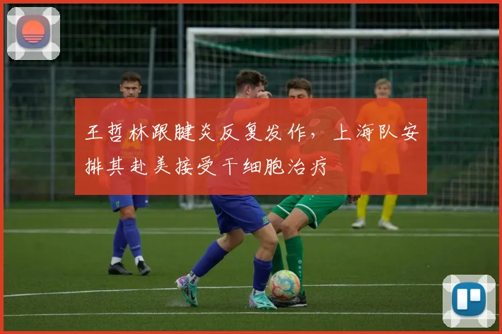 王哲林跟腱炎反复发作，上海队安排其赴美接受干细胞治疗