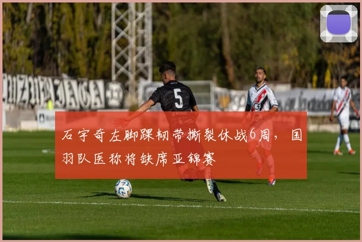 石宇奇左脚踝韧带撕裂休战6周，国羽队医称将缺席亚锦赛